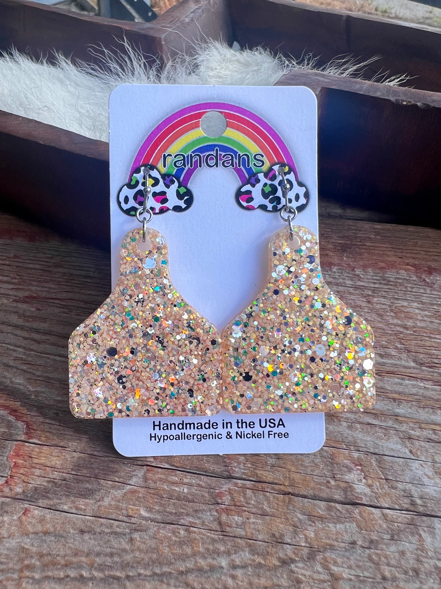 Ran Dan Acrylic Earrings