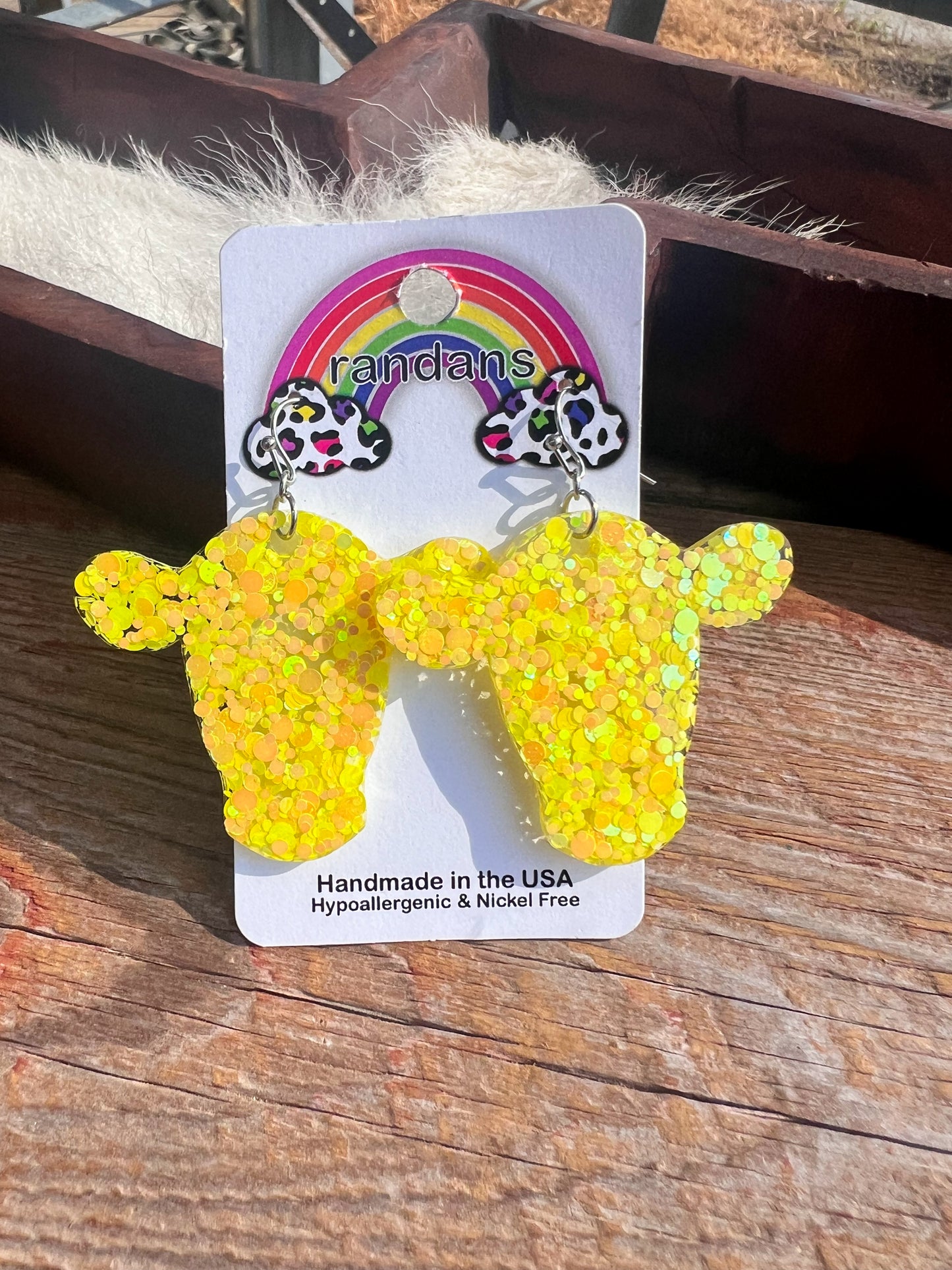 Ran Dan Acrylic Earrings