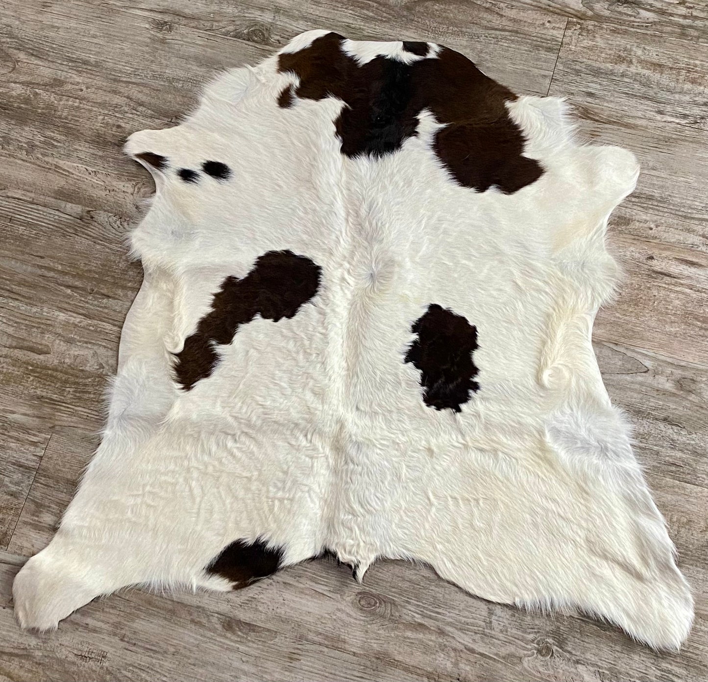 Chocolate Spots Calf Hide 37inX37in