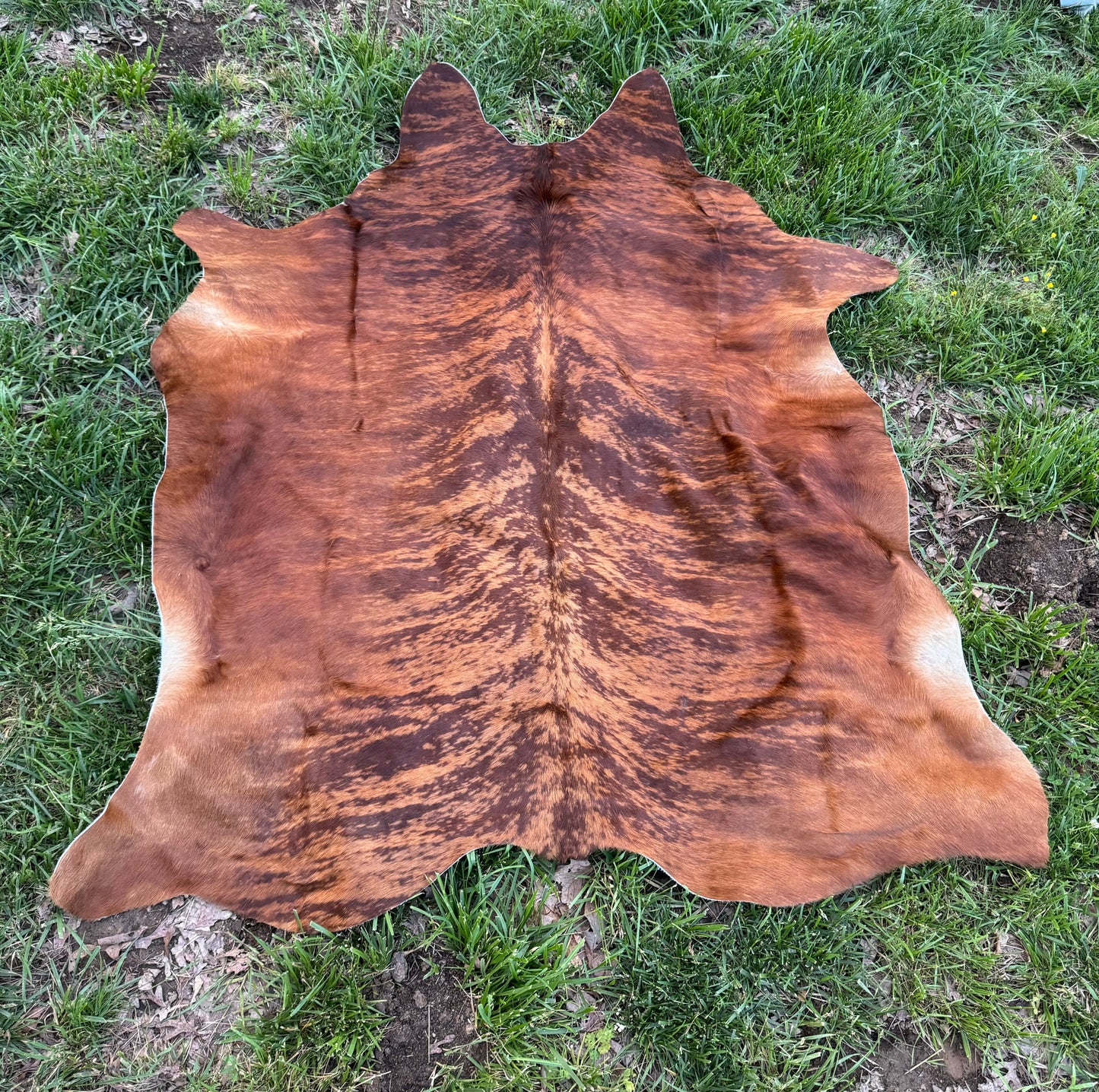 Genuine Cowhide