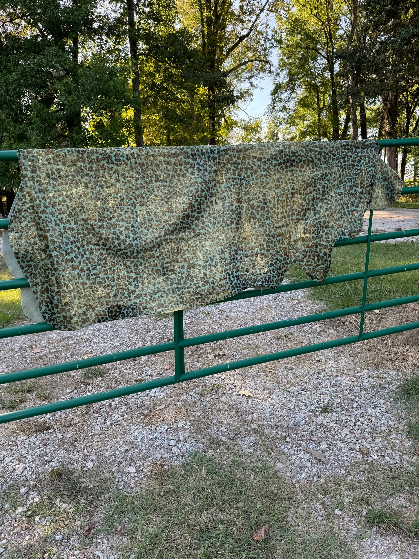 Acid Washed Leopard Turquoise/Gold Cowhide Rug