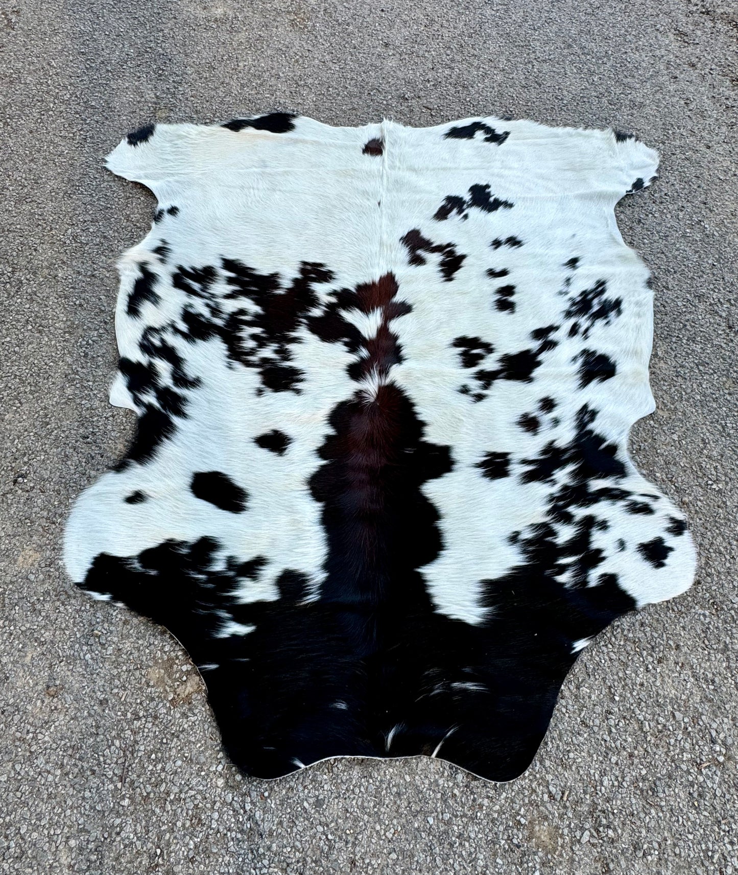 Tri Spotted Hide 6X5'