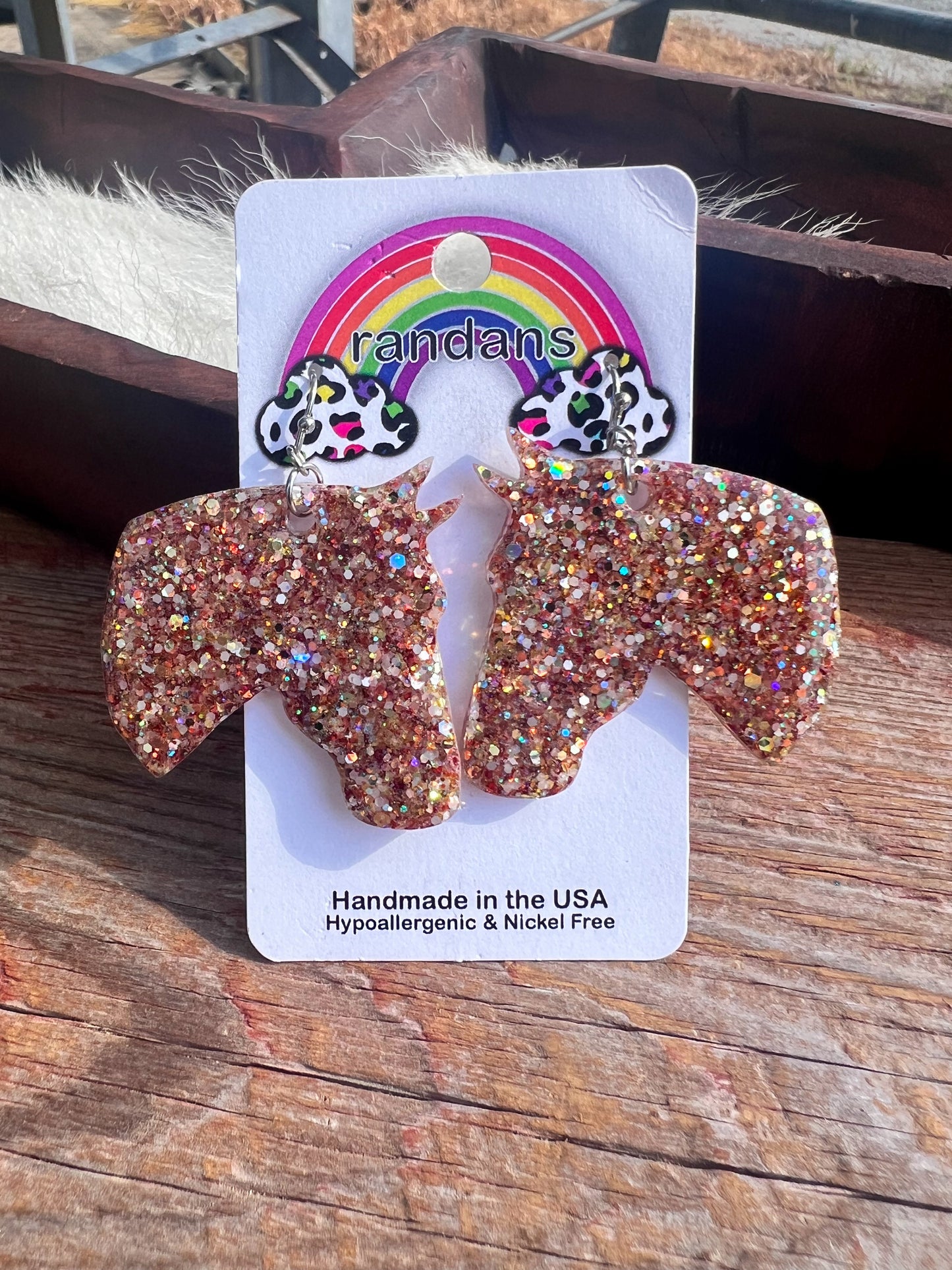 Ran Dan Acrylic Earrings