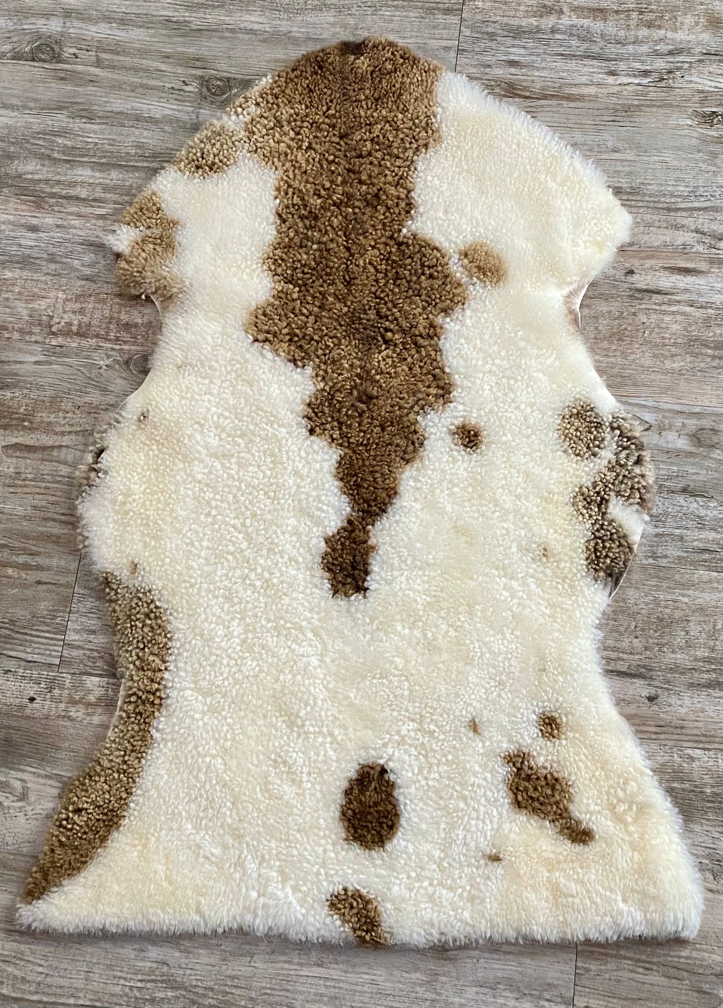 Brown Sheep Hide