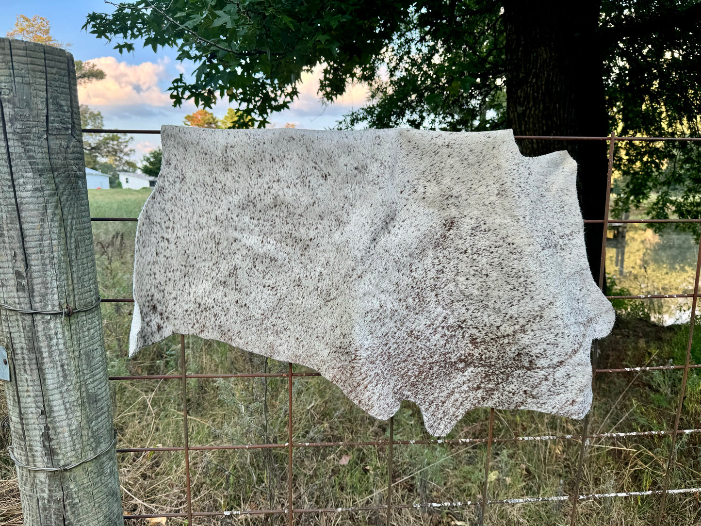 Calf Hide Salt & Pepper