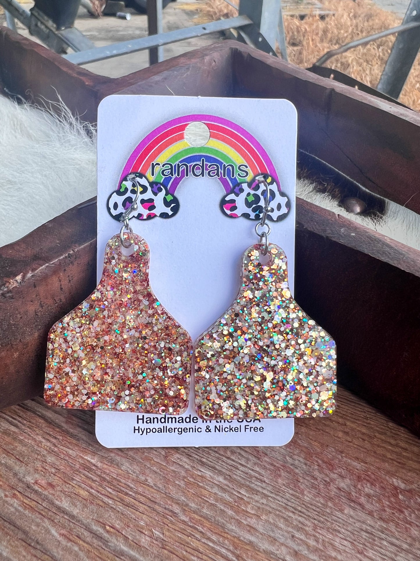 Ran Dan Acrylic Earrings