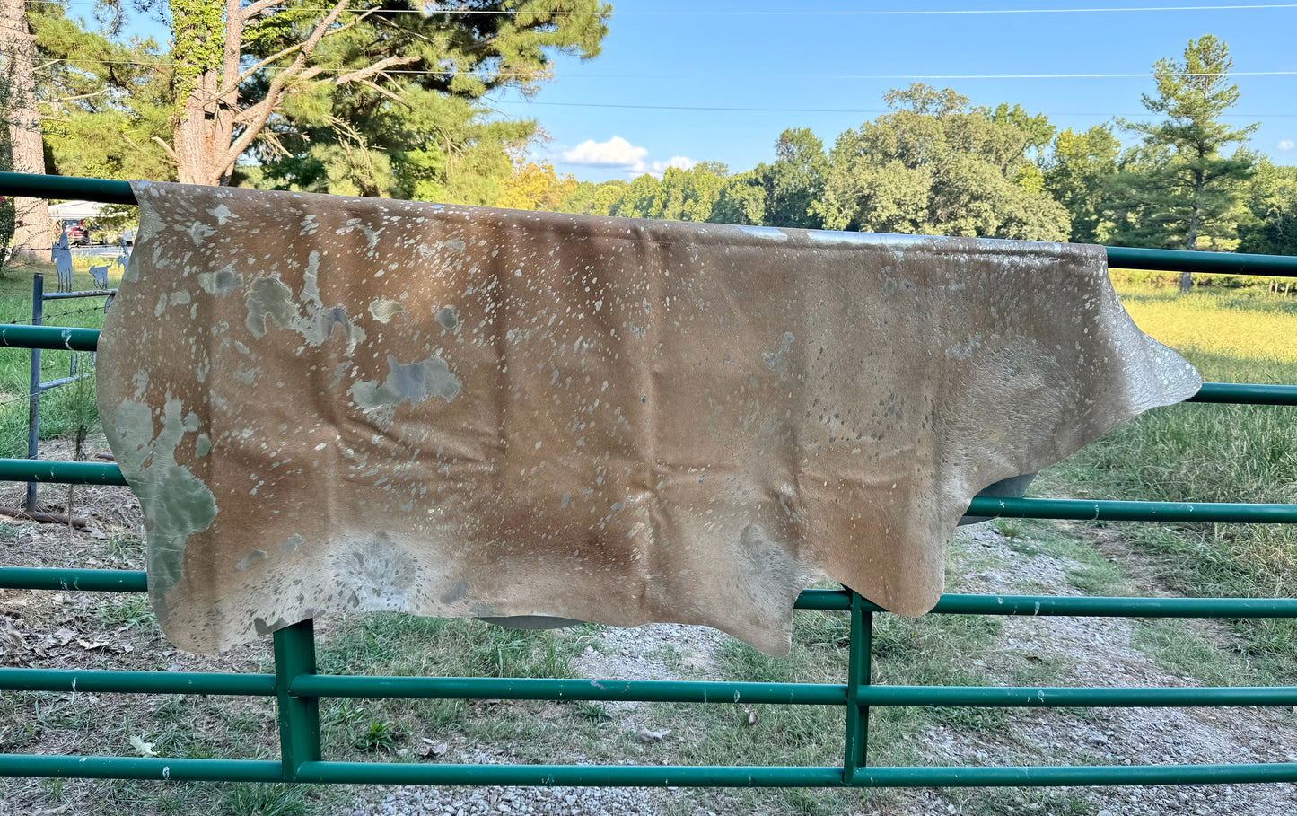Jumbo Tan Acid Washed Cowhide Rug