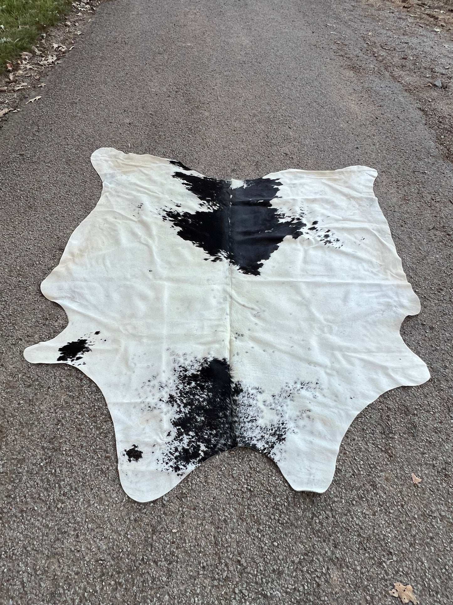 White/Black Salt & Pepper Cowhide Rug 7X7'
