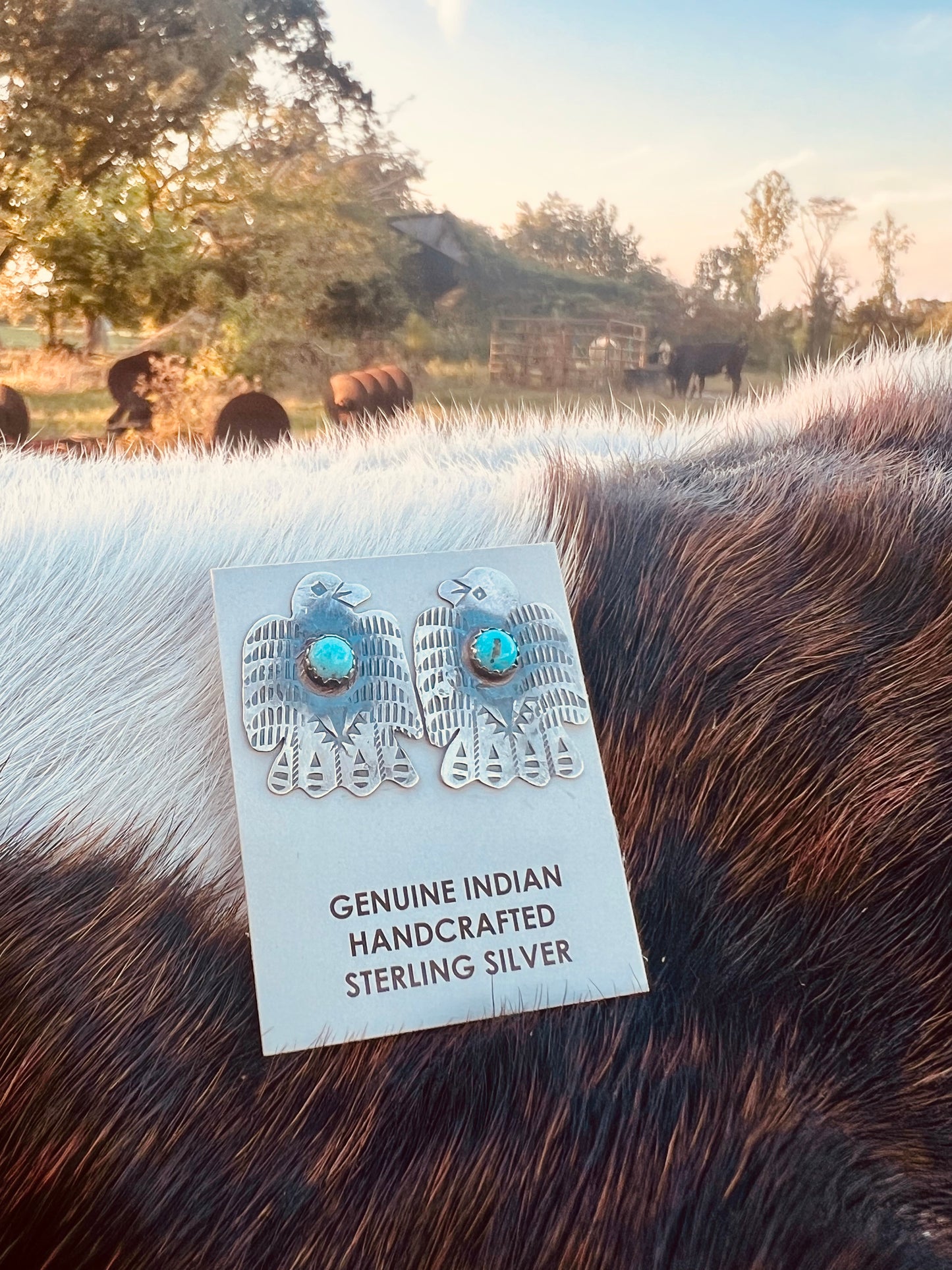 Thunderbird Kingman Turquoise Stud Earrings