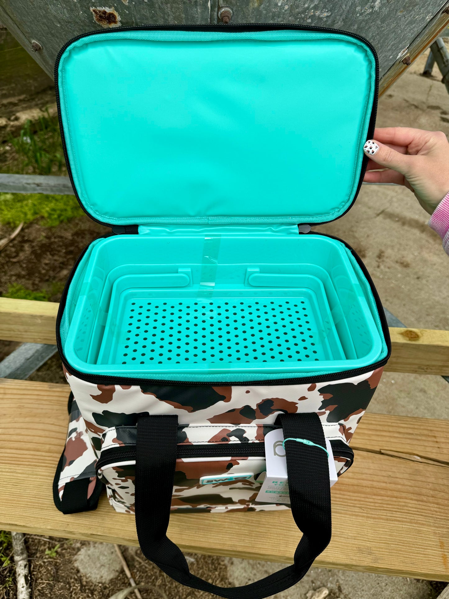 Hayride Boxxi 24 Can Cooler
