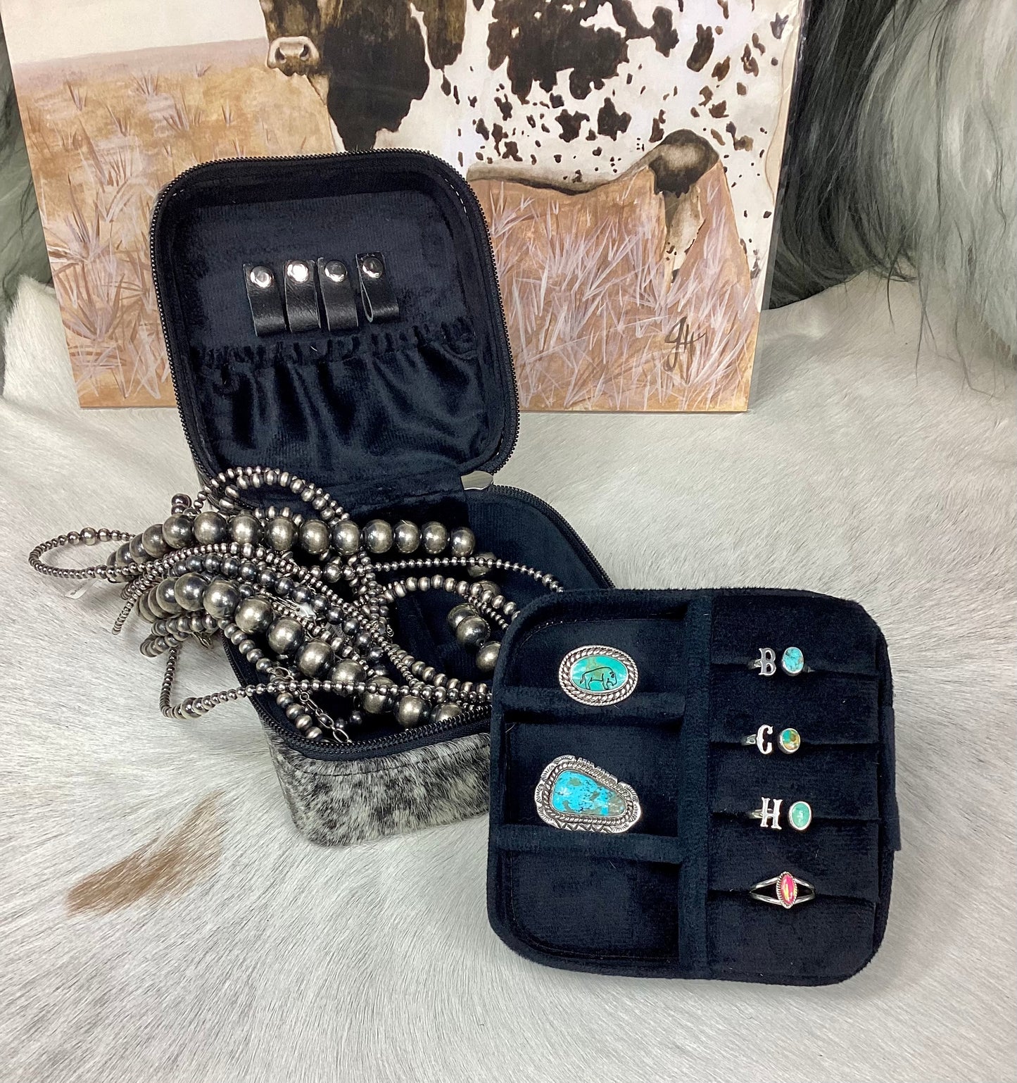 Travel Jewelry Case