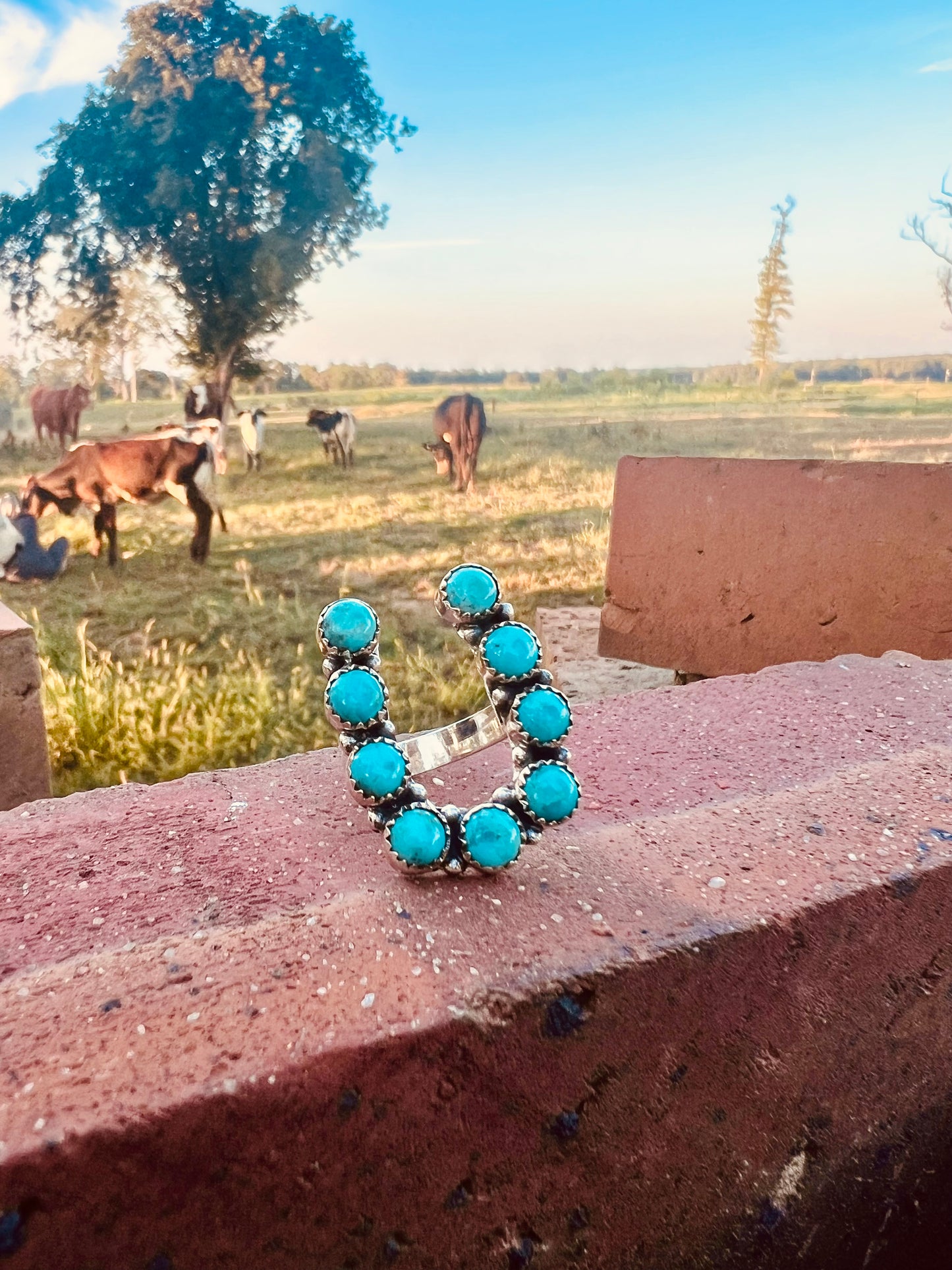 Kingman Turquoise Horseshoe Ring