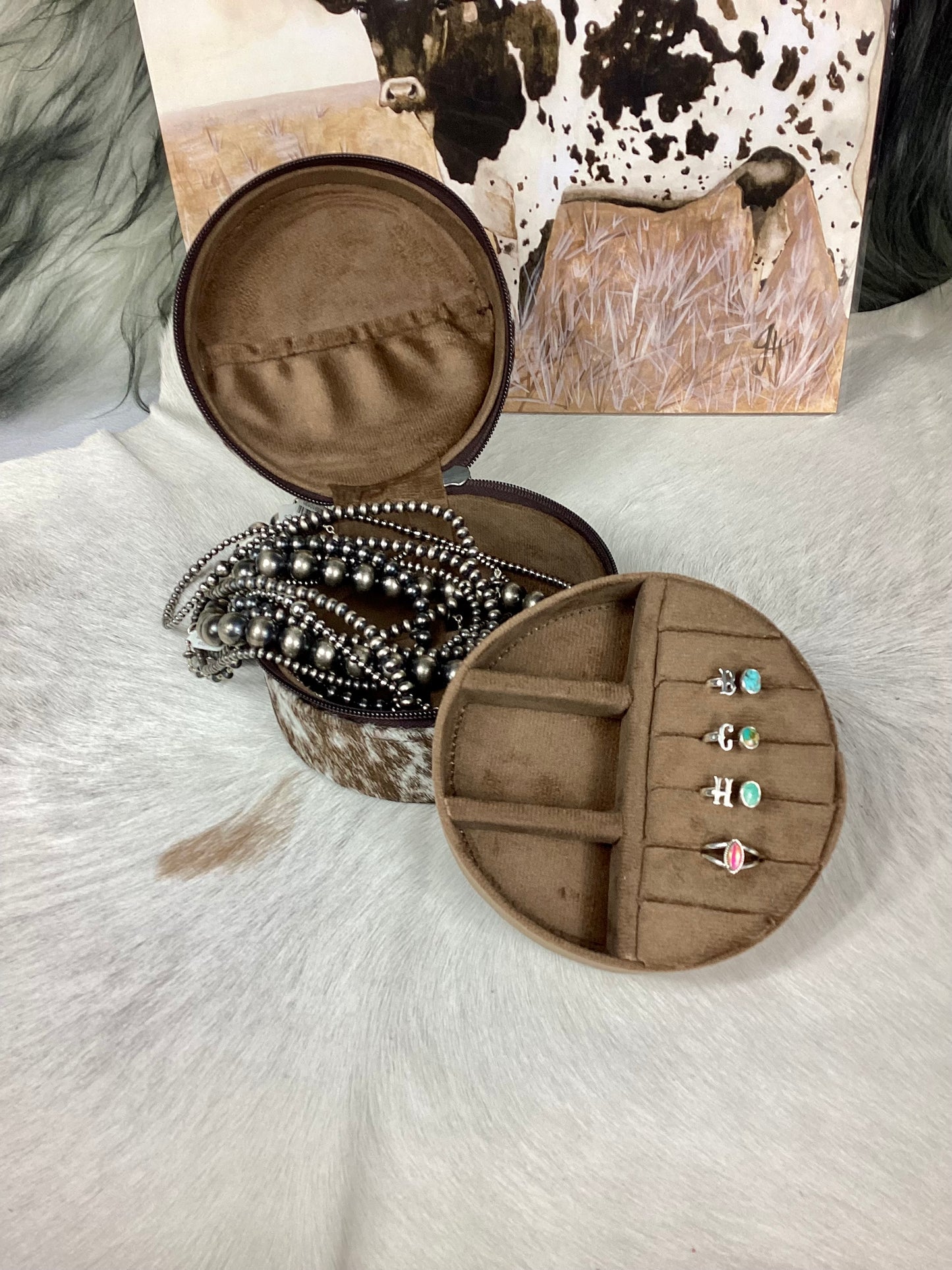 Travel Jewelry Case