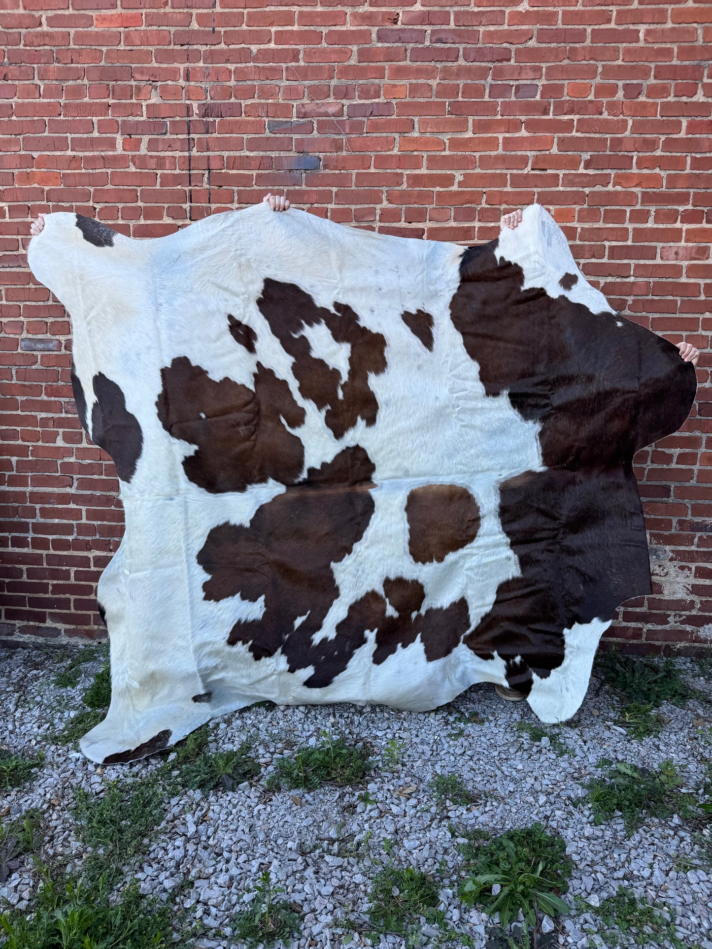 Salt&Pepper Brn/White 7x7