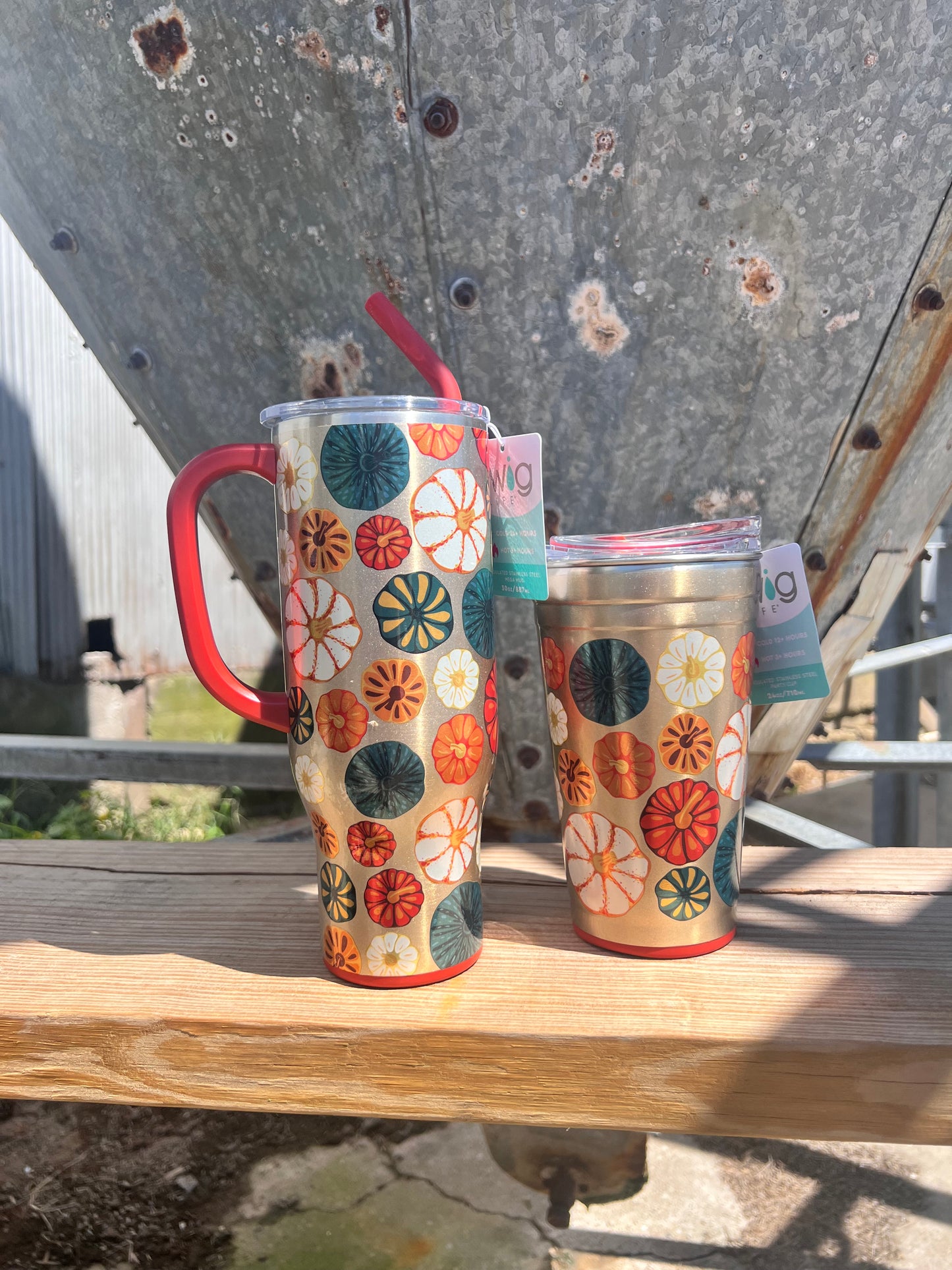 Fall Harvest Party Cup 24oz