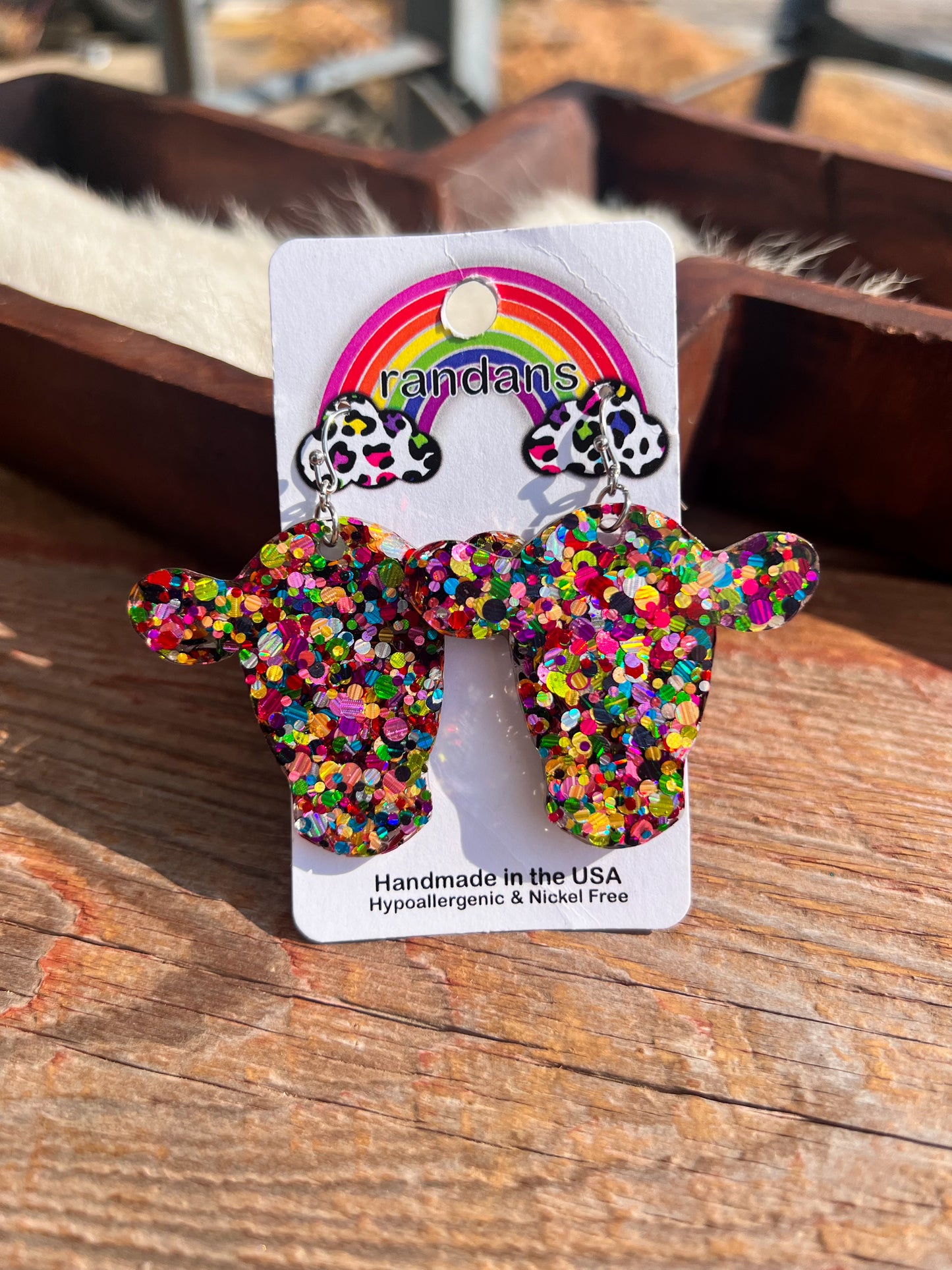 Ran Dan Acrylic Earrings
