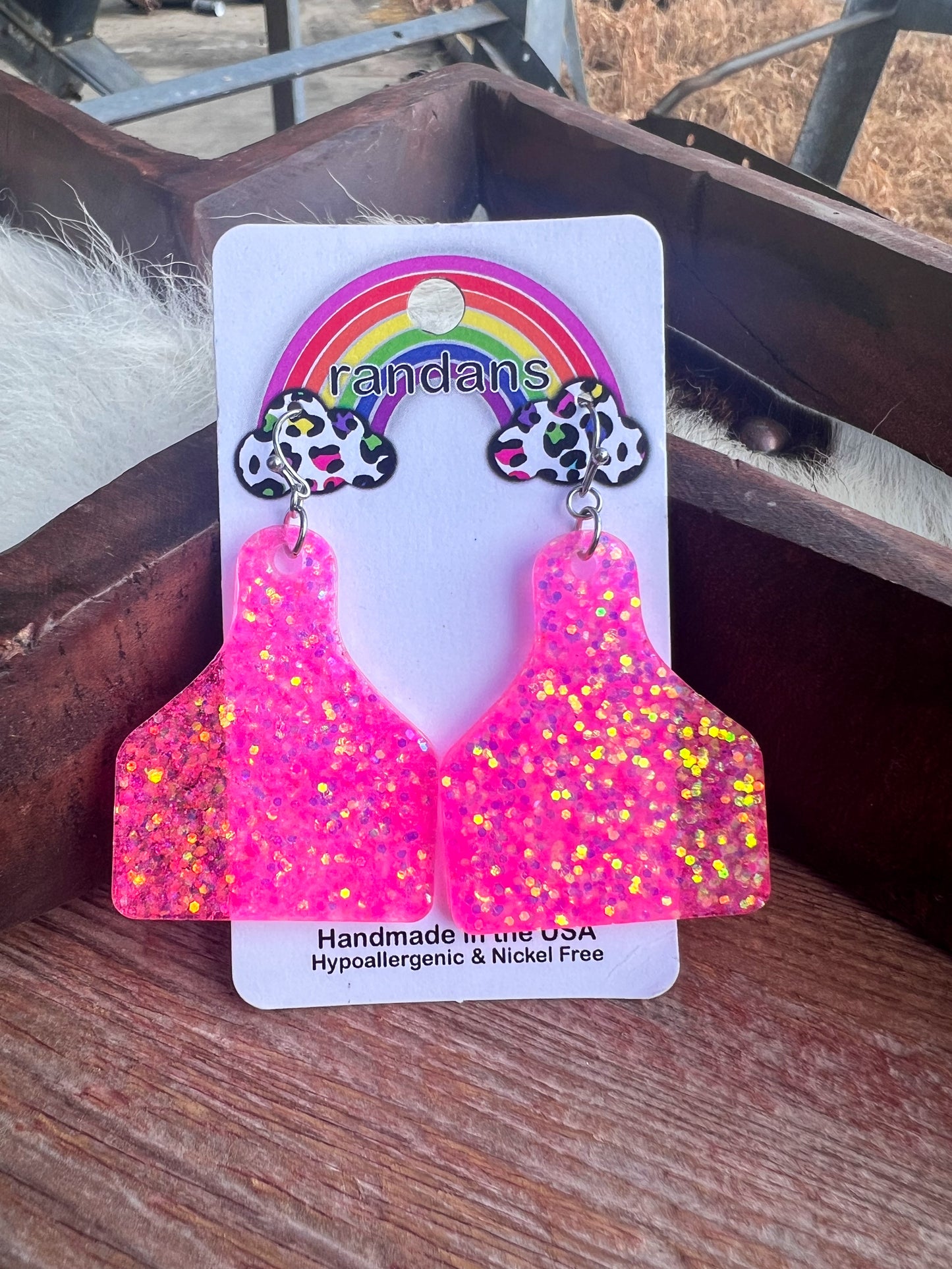 Ran Dan Acrylic Earrings