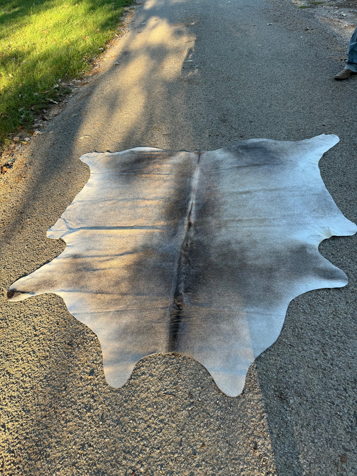 Grey Cowhide Rug 7X6'