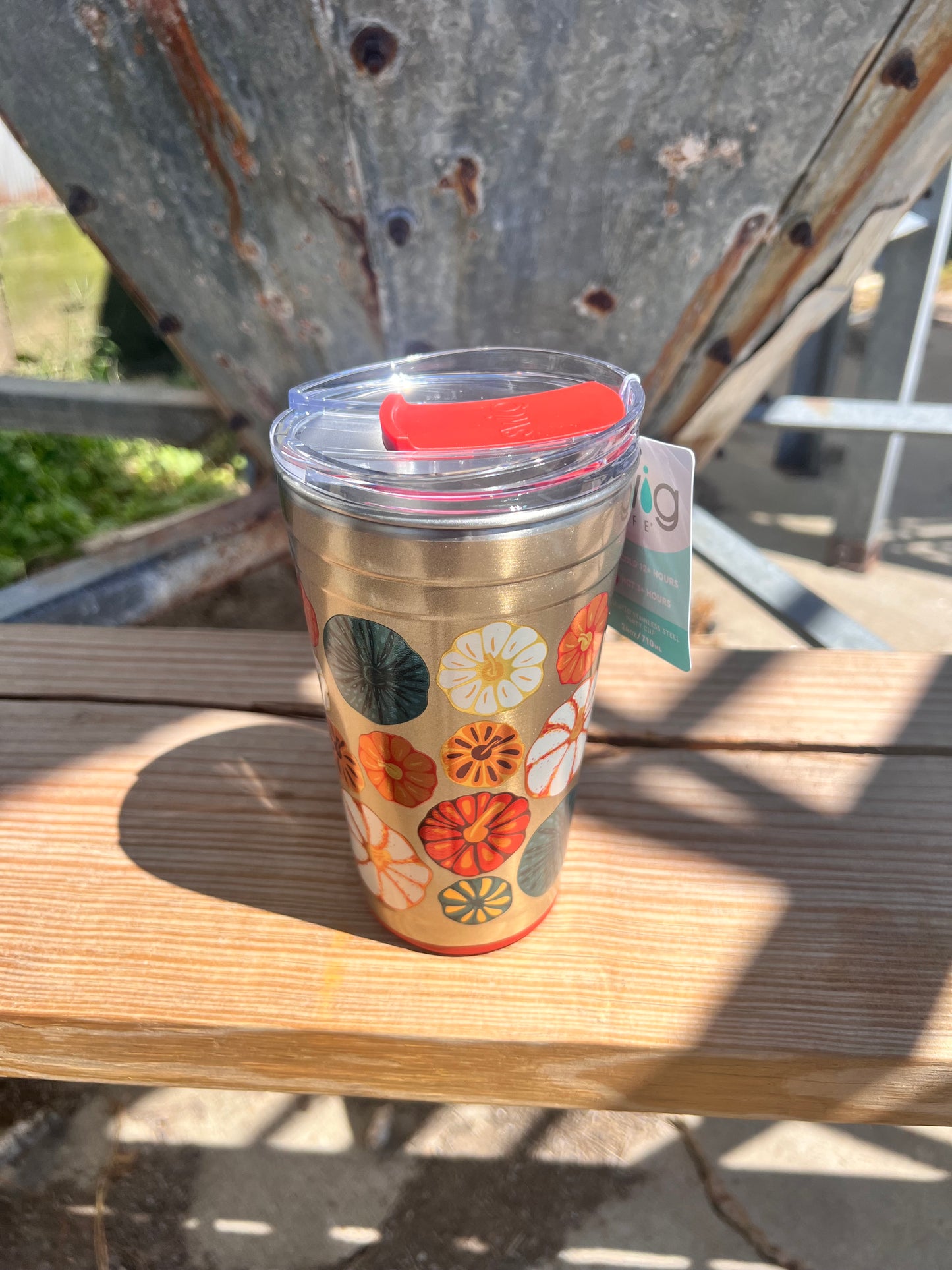 Fall Harvest Party Cup 24oz