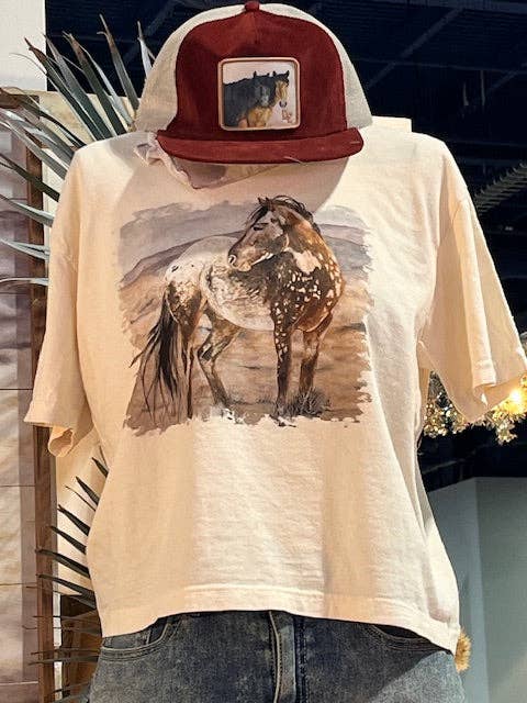 No Name Horse - Semi Cropped Tees