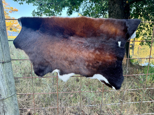Tornisol Calf Hide