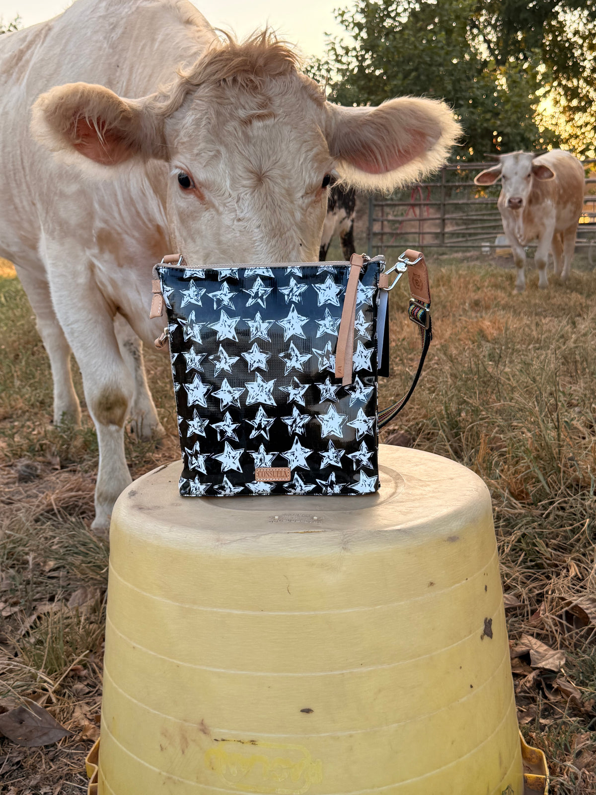 CONSUELA Madi, Tour Crossbody