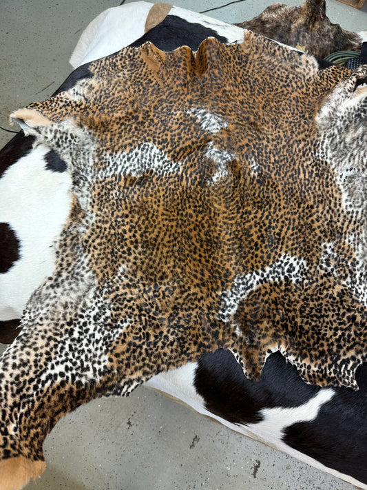 Exotic Print  Leopard Hide