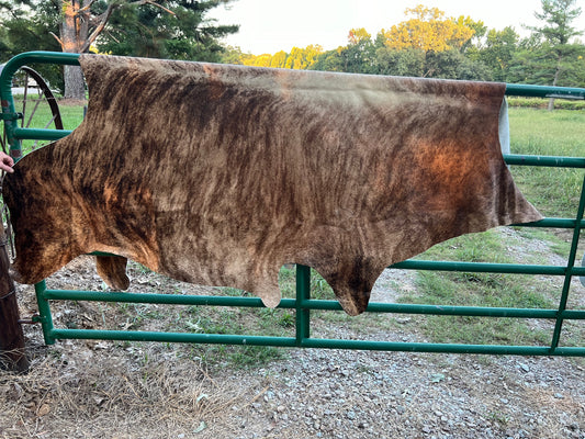 Jumbo Brindle Cowhide Rug 7.5X6.5