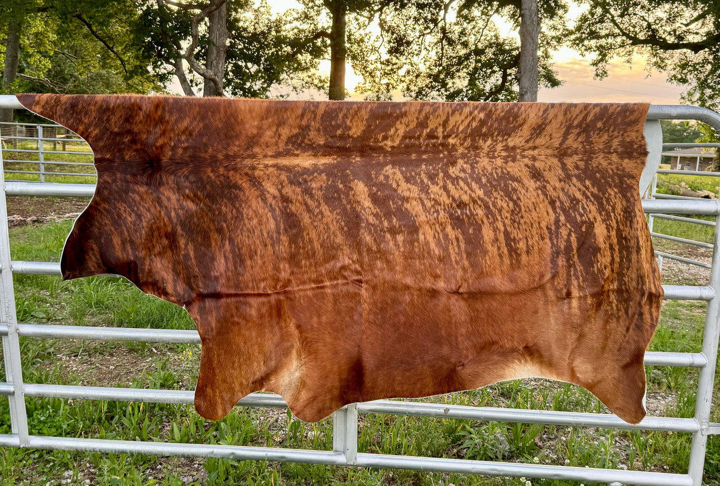 Genuine Cowhide