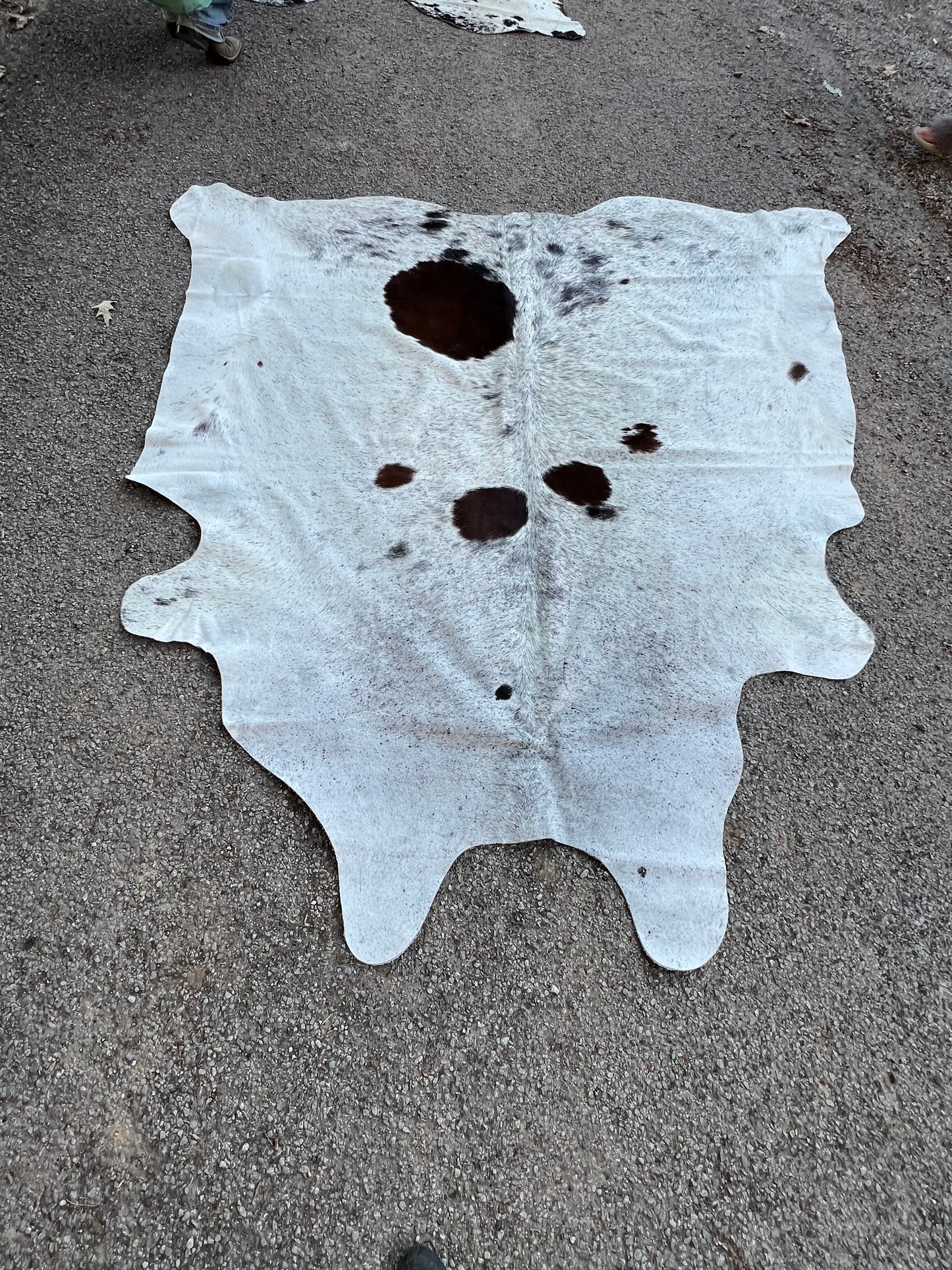 Jumbo Tri Salt & Pepper Cowhide Rug Lg Spots 8X7.5