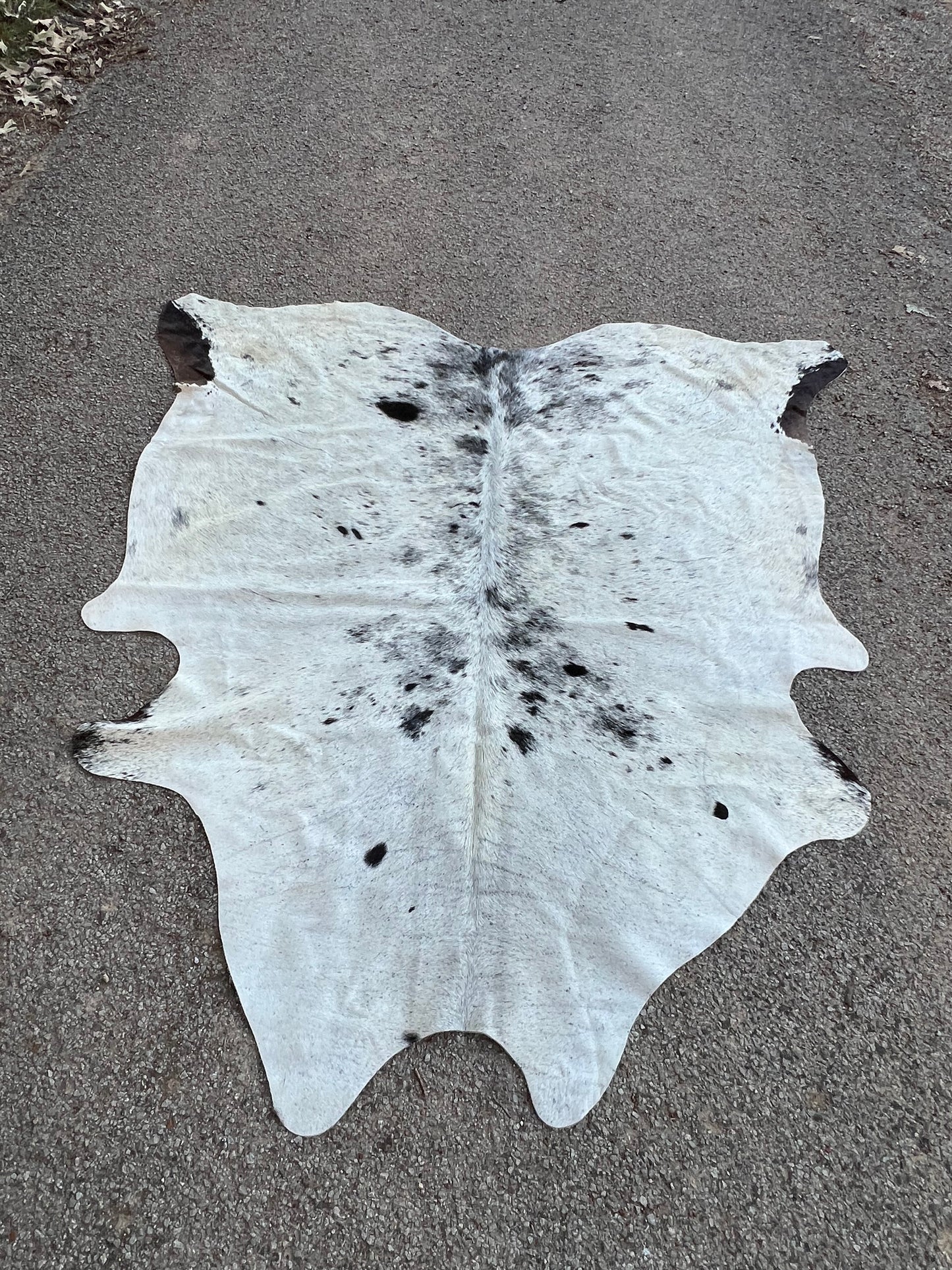 Salt & Pepper Cowhide Rug White Tri 7X7
