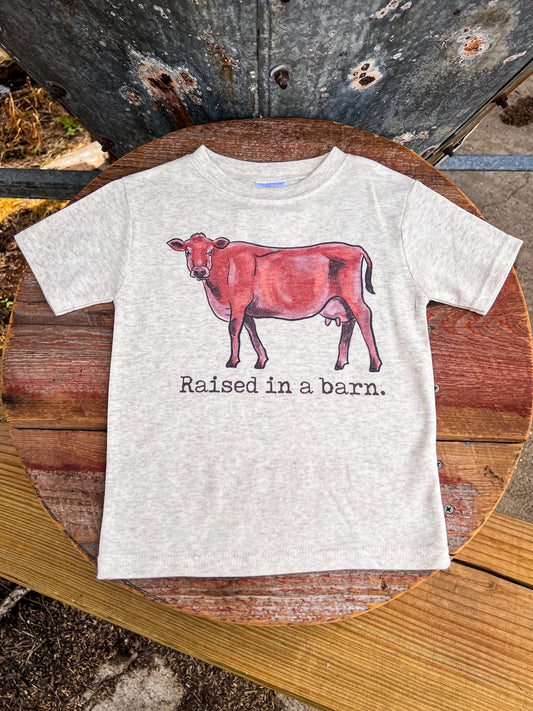 Raised In A Barn Short Sleeve Youth Tee