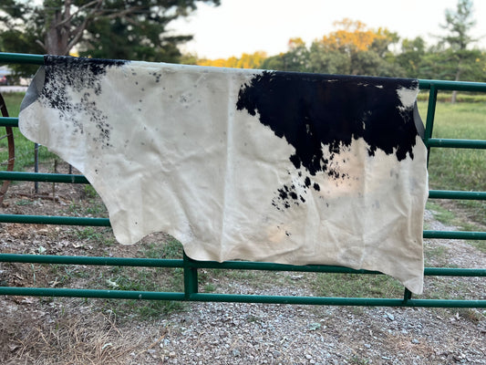 White/Black Salt & Pepper Cowhide Rug 7X7'