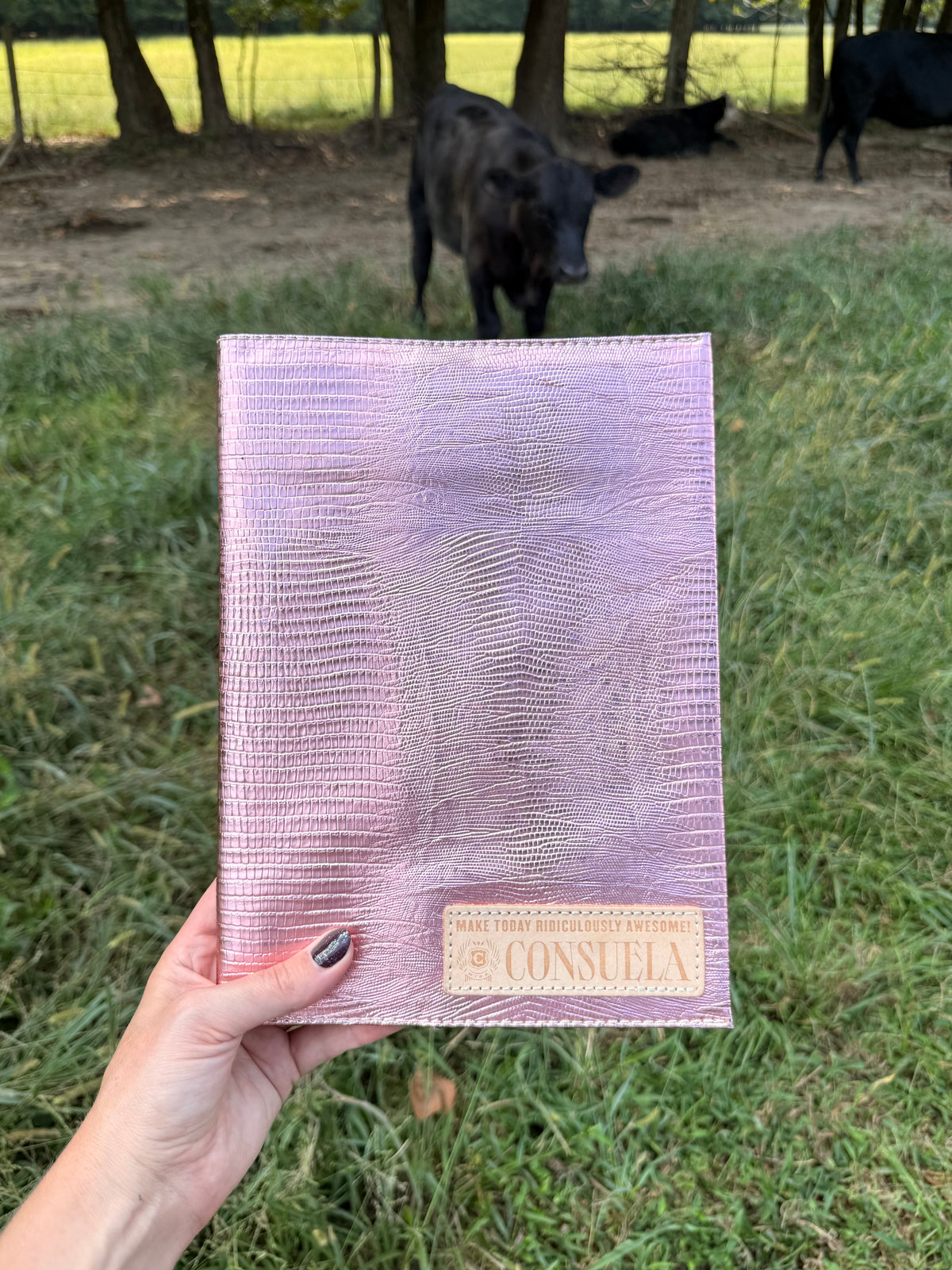 CONSUELA Elodie ,Notebook
