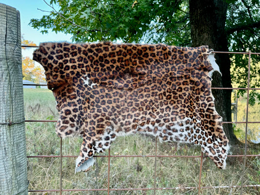Cheetah Print Exotic Hide