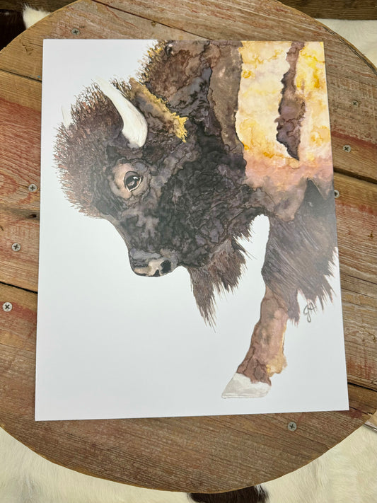 Buffalo Bill Print