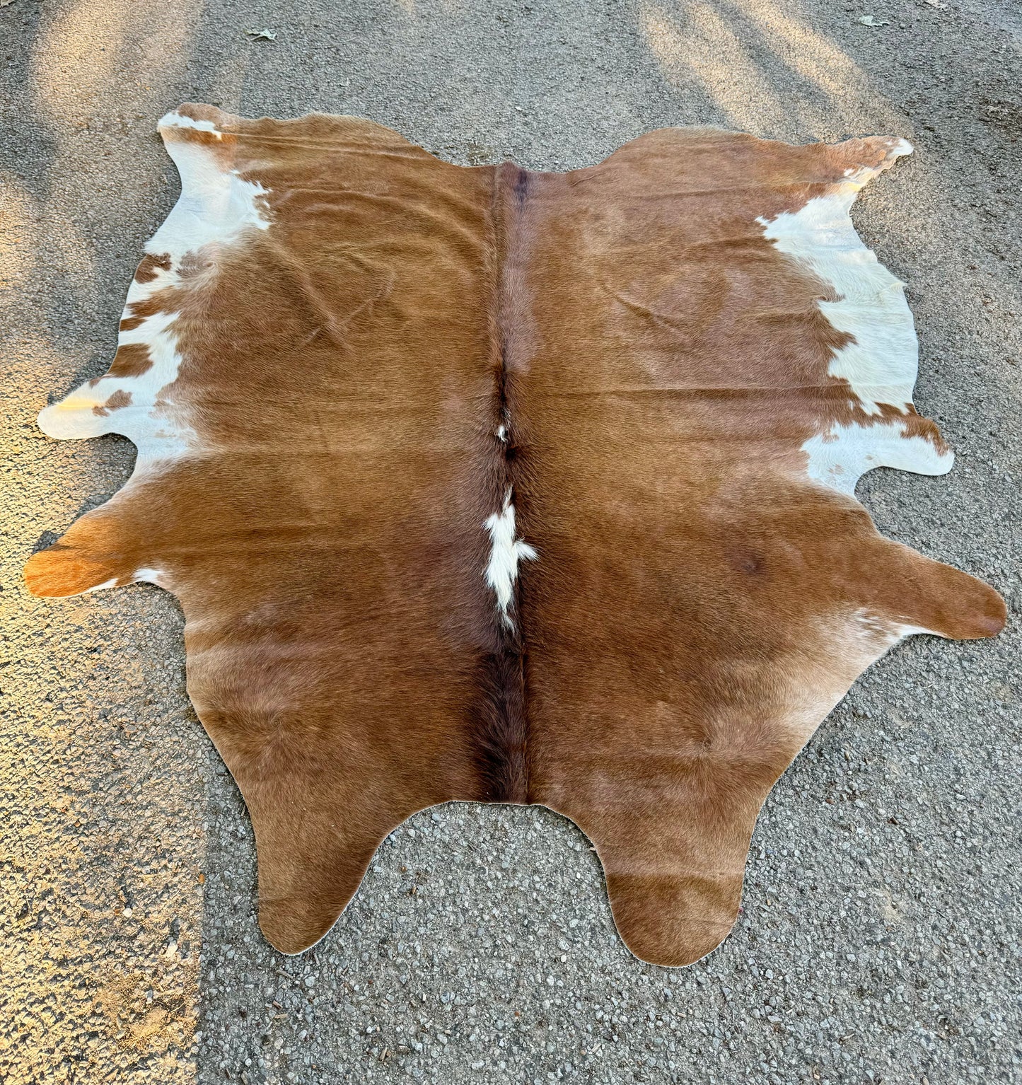 Lighter Hereford Cowhide Rug 7X7'