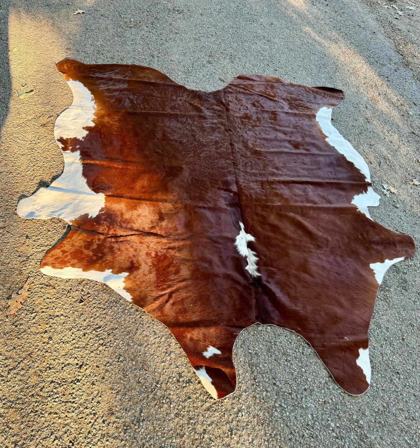 Hereford Cowhide Rug 6X7'