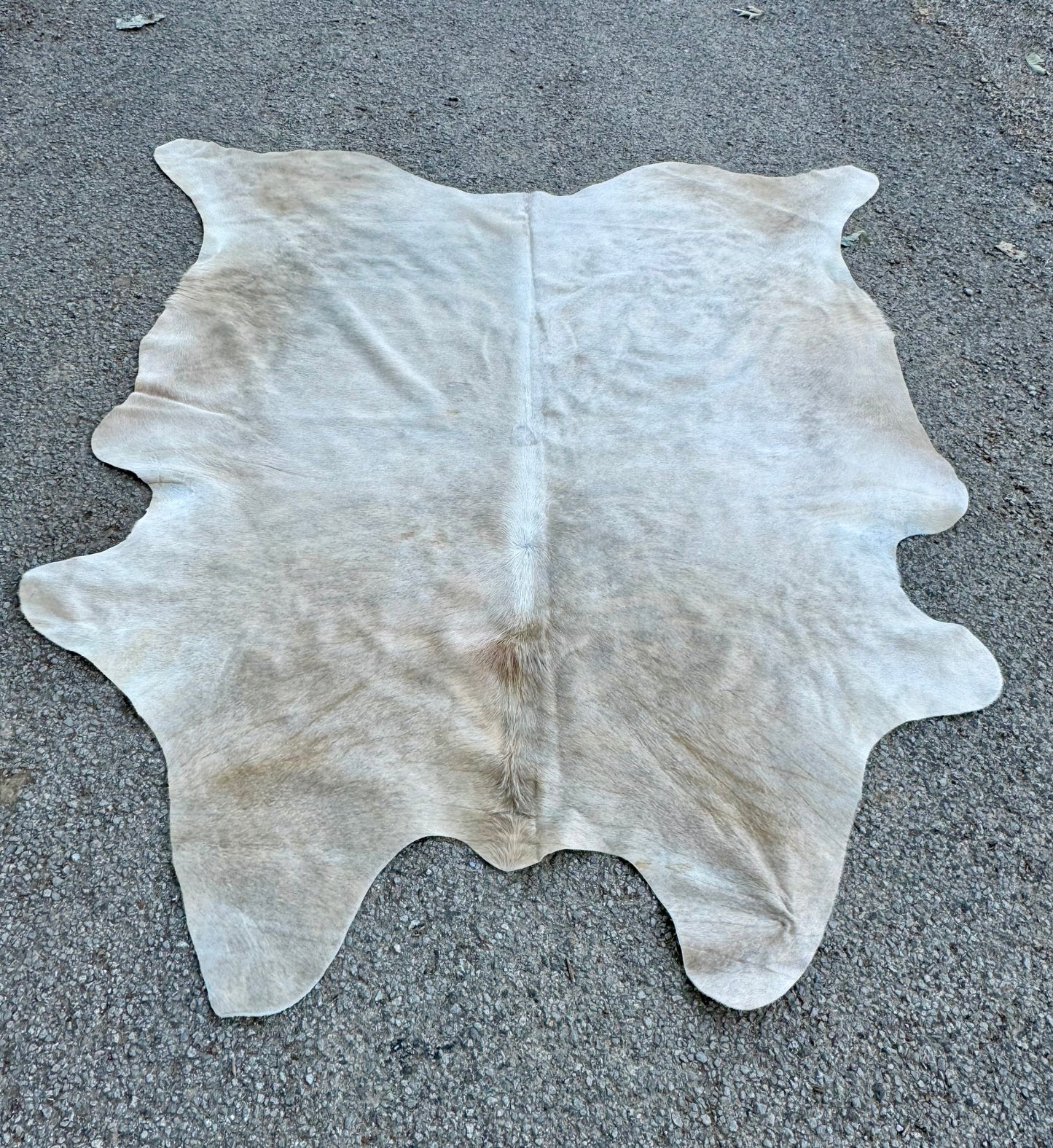 Tan Jumbo Cowhide Rug 7.5X6.5'