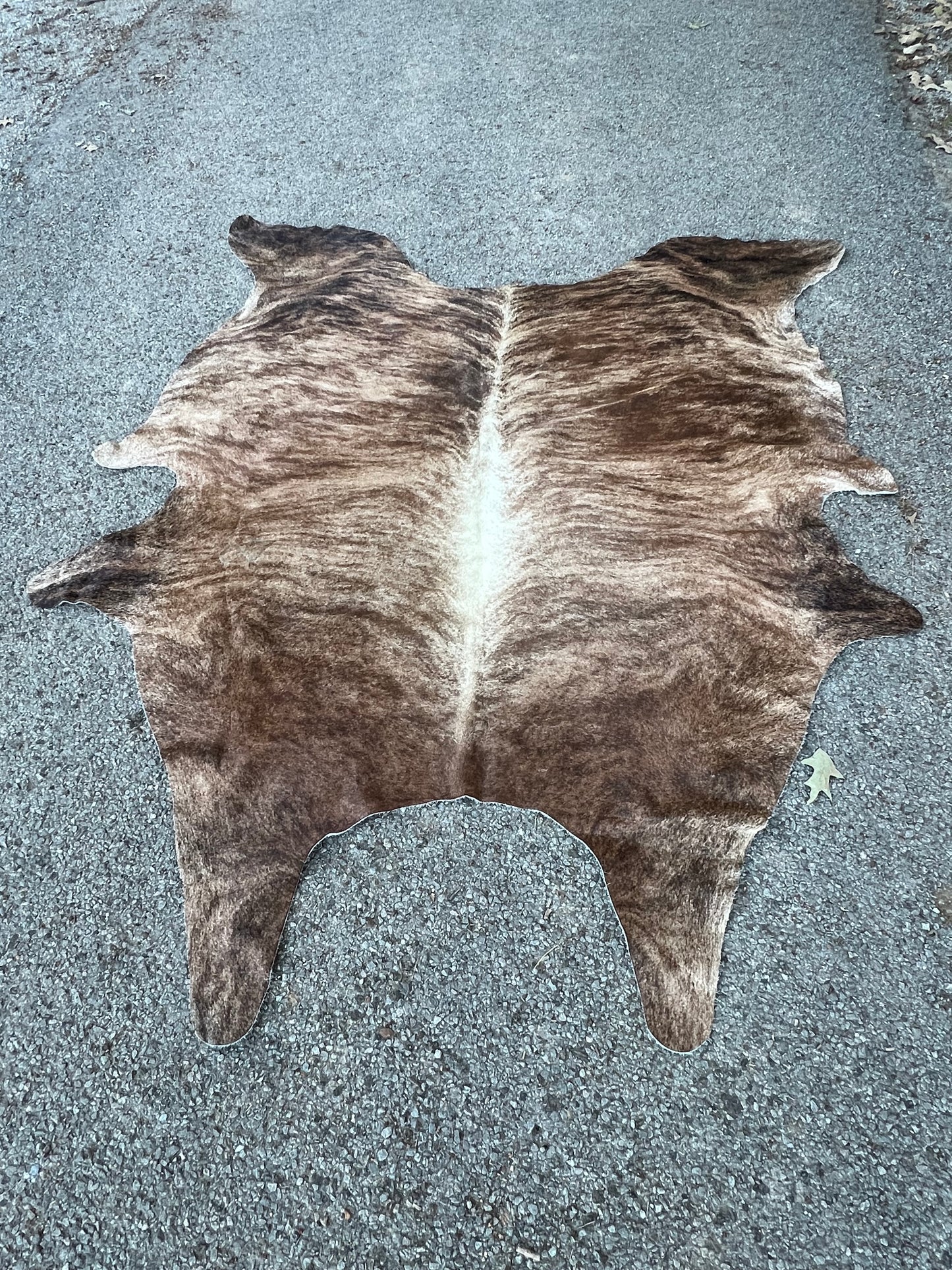 Jumbo Brindle Cowhide Rug 7.5X6.5
