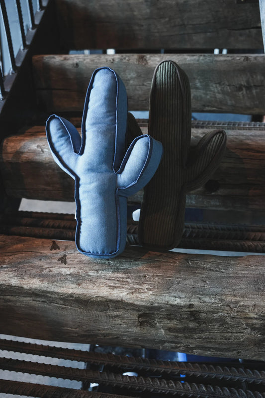 Snuggle A Cactus Pillow