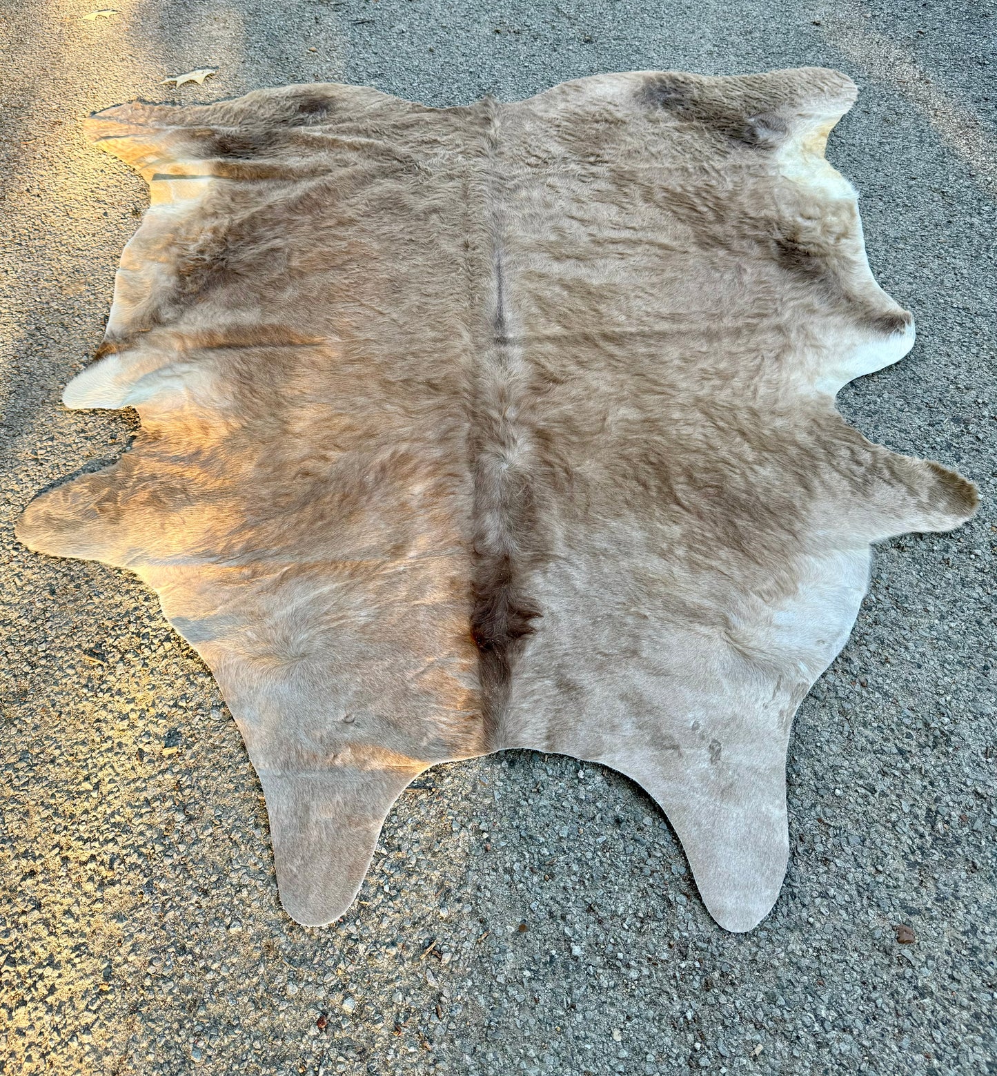 Darker Charolais Wavy Hair Cowhide Rug 6.5 X 6.5'