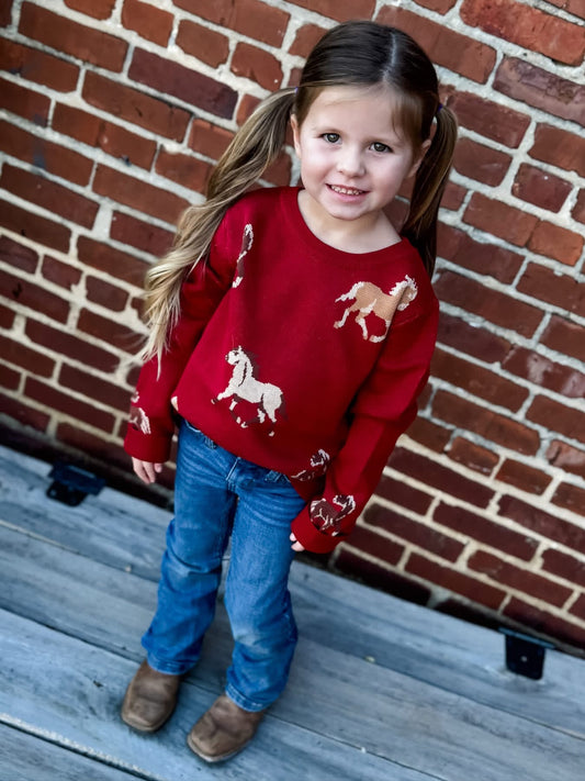 Pony Days Girl's Sweater